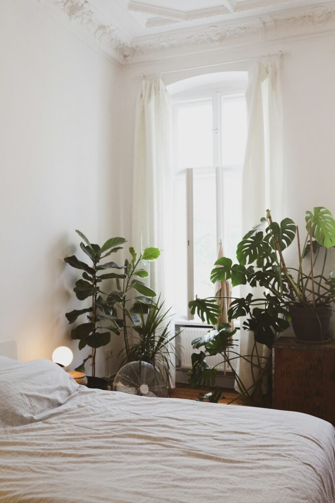 Helles, allergikerfreundliches Schlafzimmer mit Pflanze und wenig Textilien